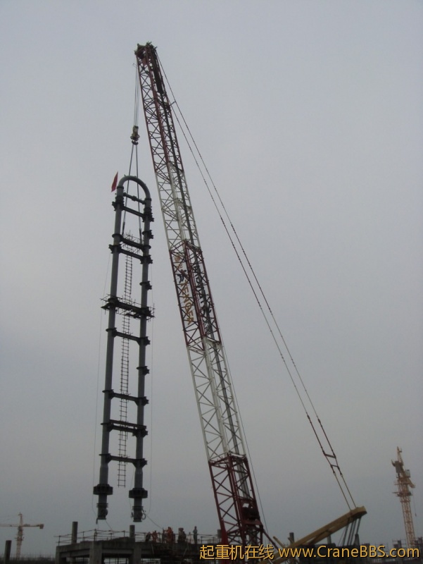 S73F2863_conew1.JPG