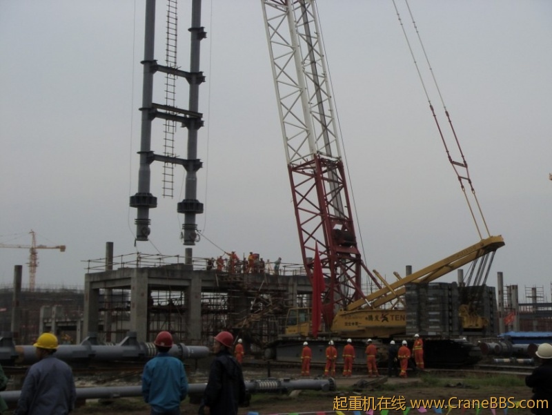 S73F2865_conew1.JPG