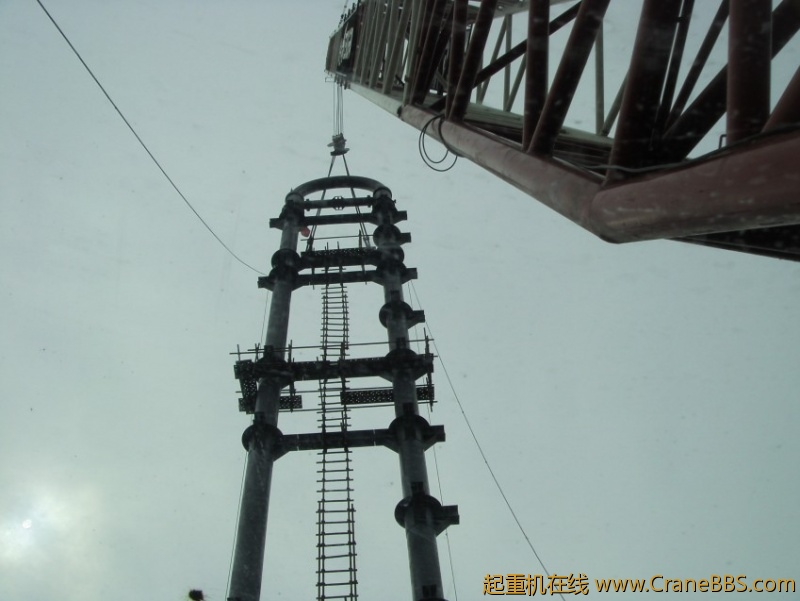 S73F2866_conew1.JPG