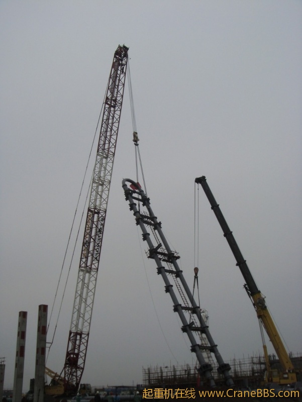 S73F2850_conew1.JPG