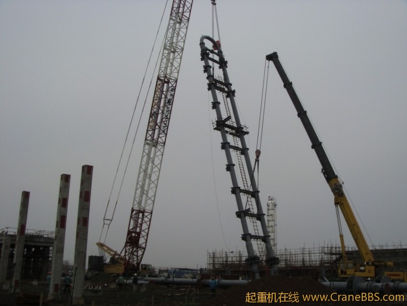 S73F2852_conew1.JPG