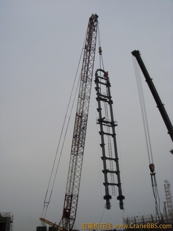 S73F2856_conew1.JPG