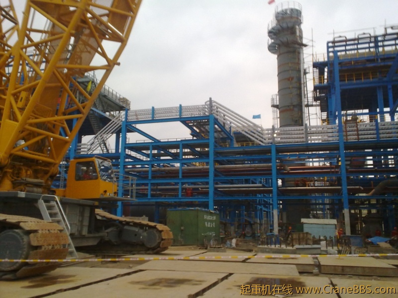 20110920495.jpg