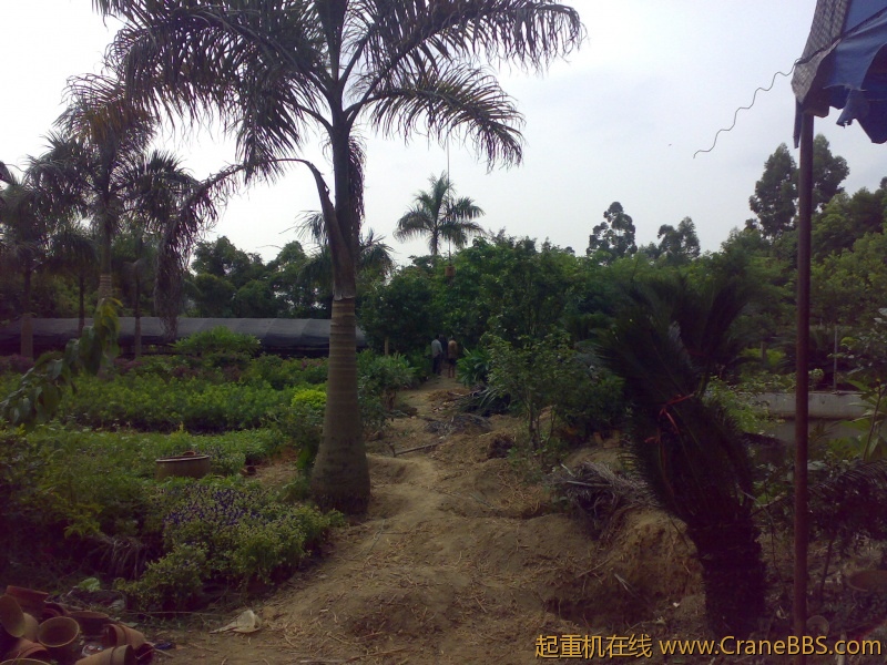 201109201135.jpg
