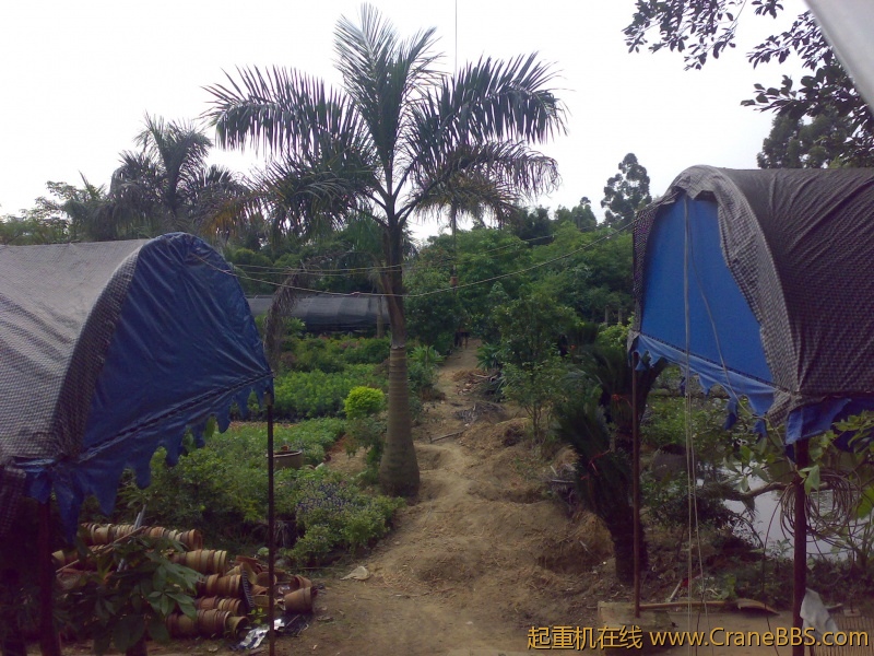 201109201137.jpg