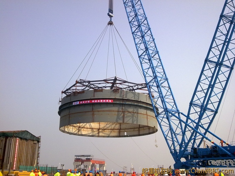 20100318297.jpg