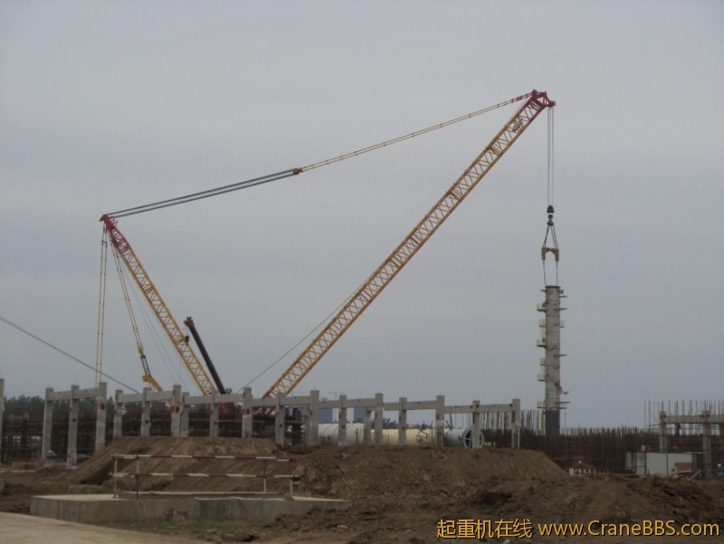 S73F2821_conew1.JPG
