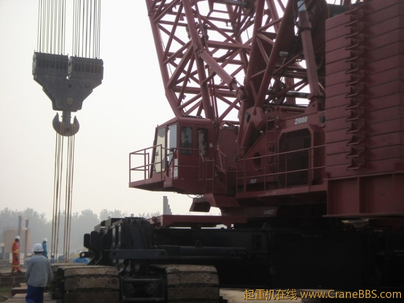 S73F2648_conew1.JPG