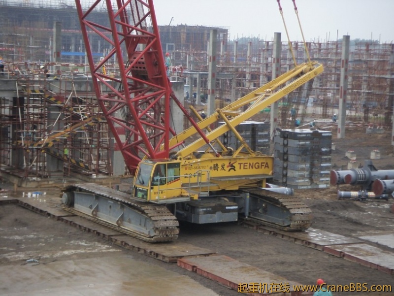 S73F2830_conew1.JPG