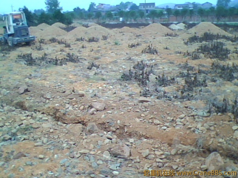 IMG1006A.jpg