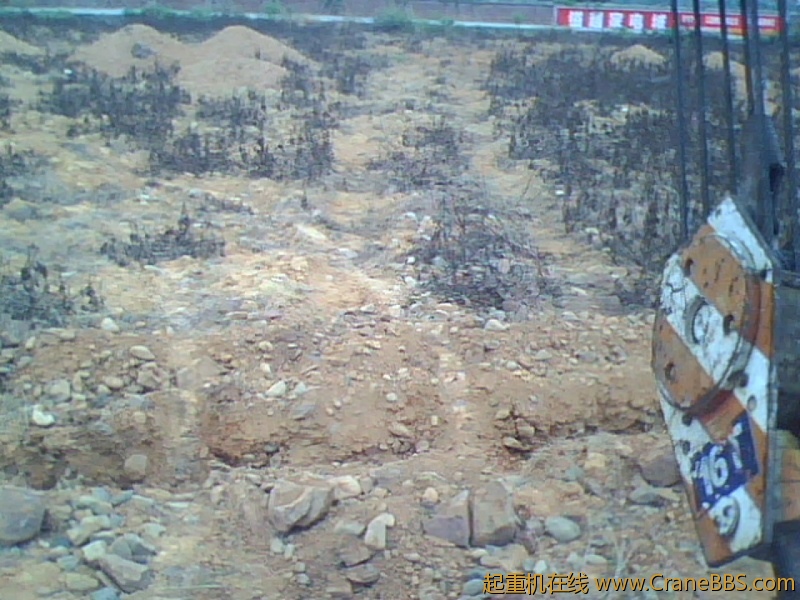 IMG1007A.jpg
