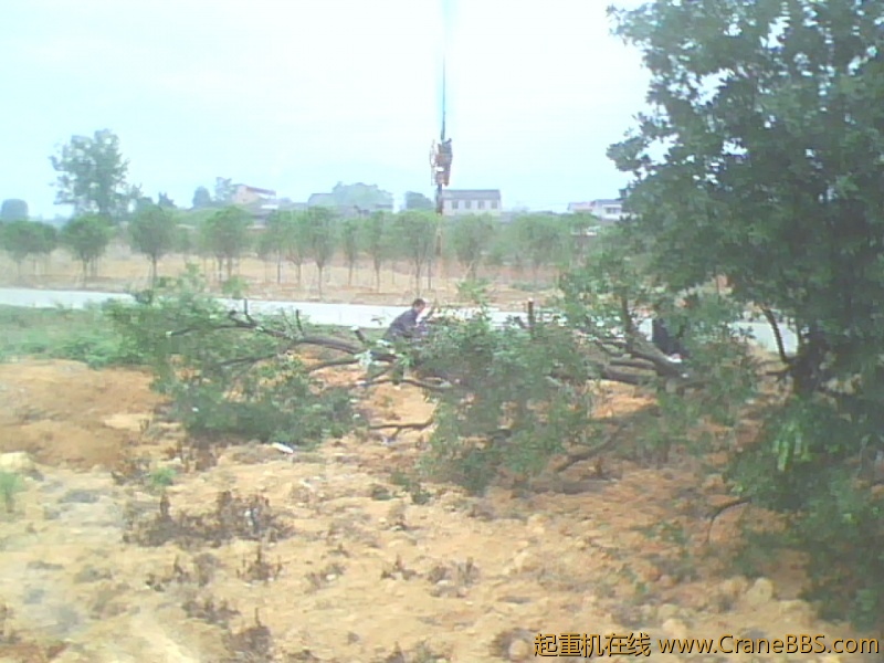 IMG1013A.jpg