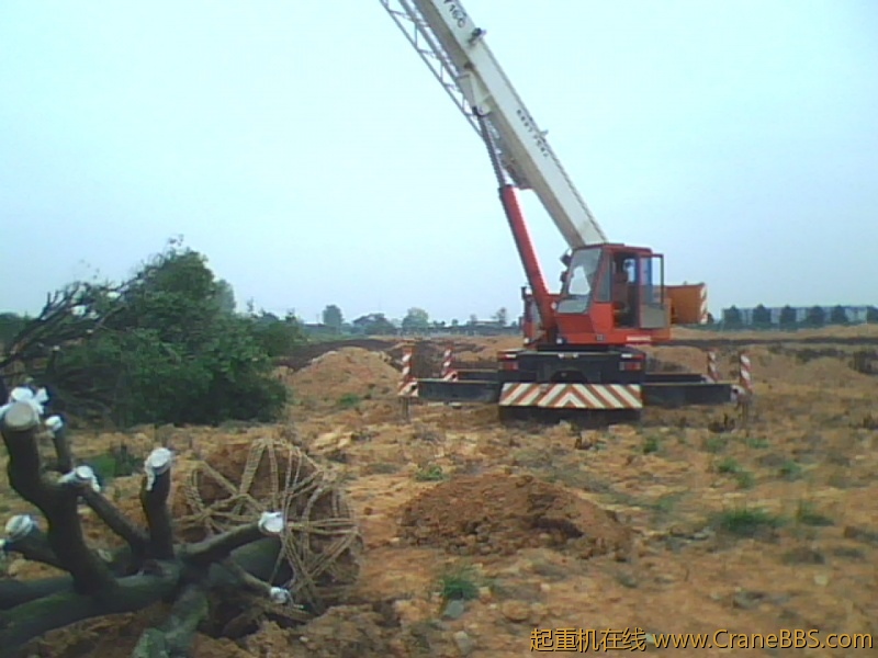 IMG1017A.jpg