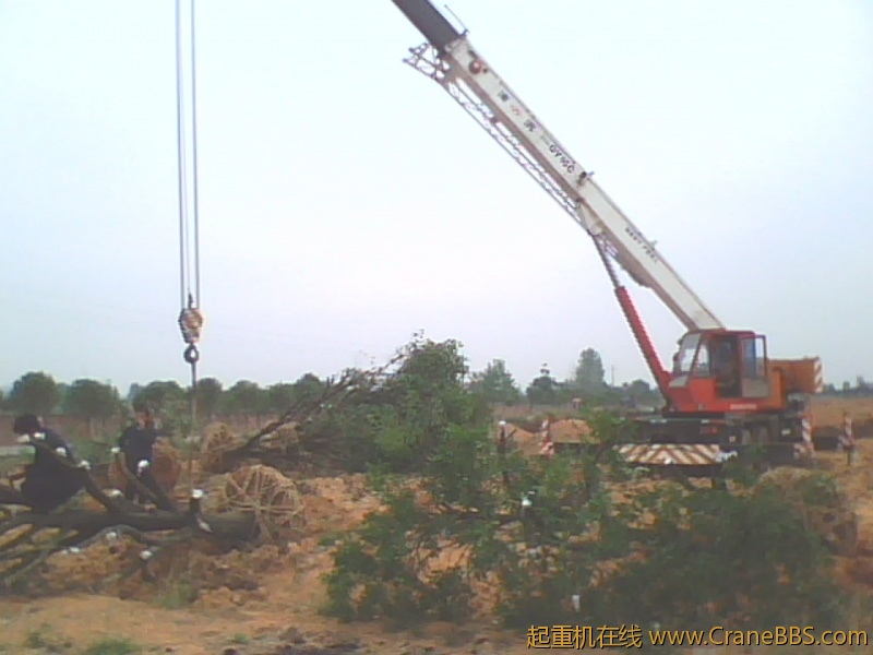 IMG1018A.jpg