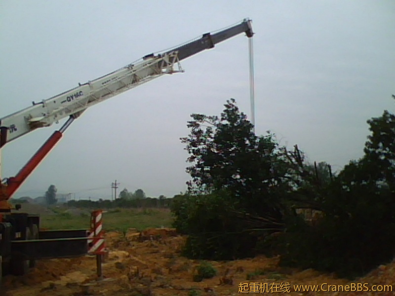 IMG1010A.jpg