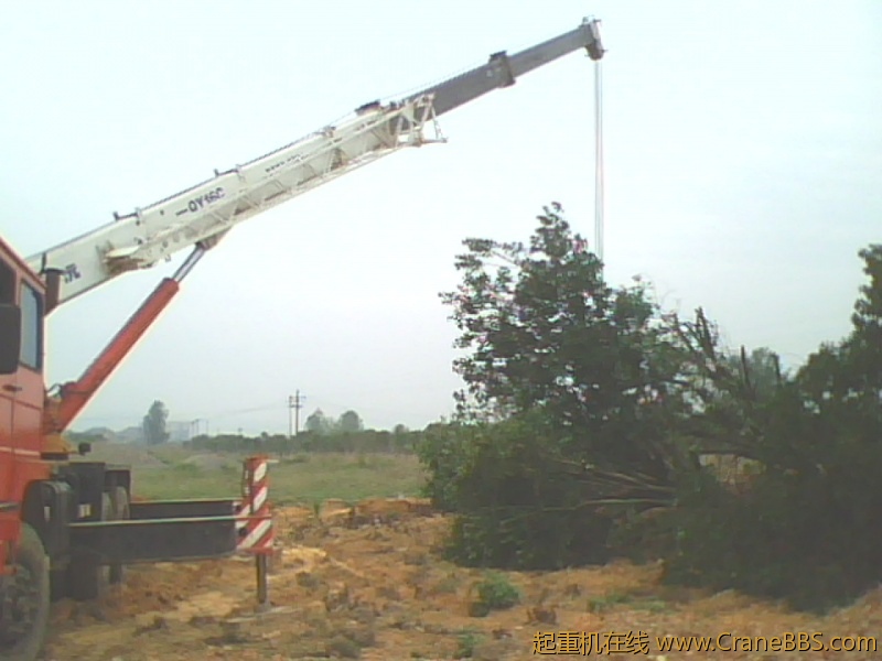IMG1011A.jpg