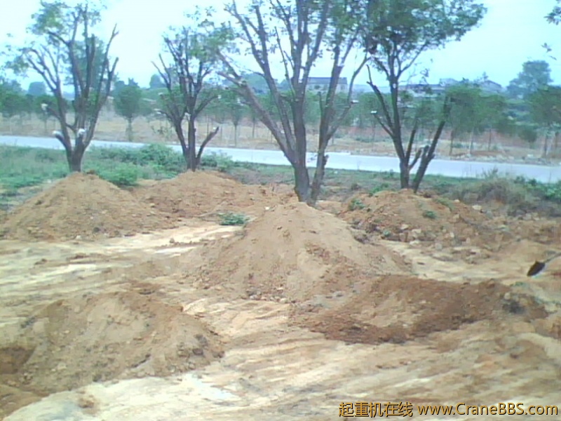 IMG1023A.jpg