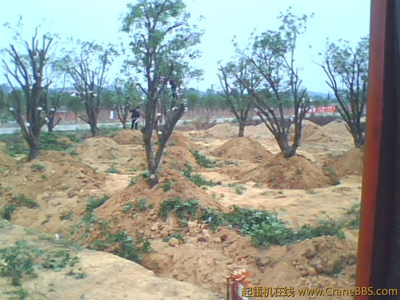 IMG1024A.jpg