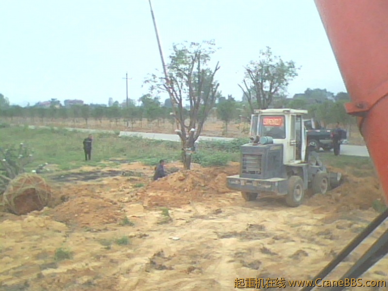 IMG1020A.jpg