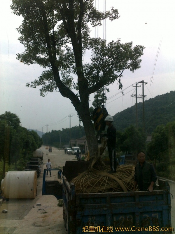 20110922700.jpg