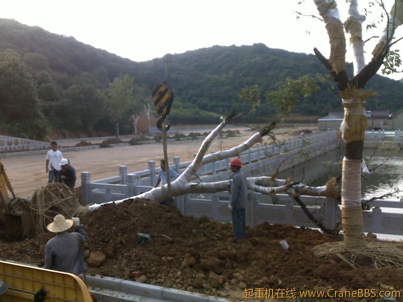 20110922705.jpg