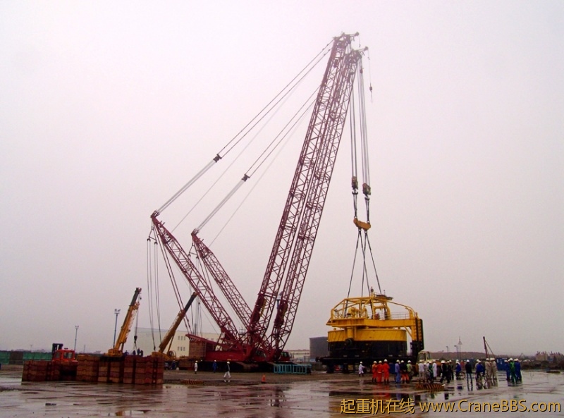DSC0511_conew1.jpg