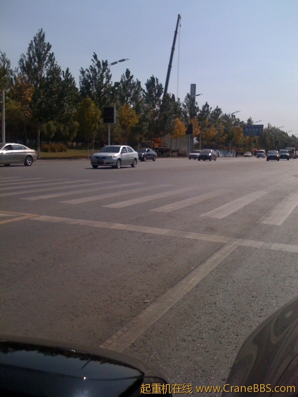 手机照片 5262.jpg