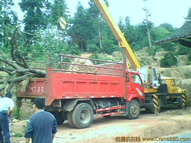 IMG1036A.jpg