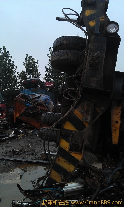 IMAG0313.jpg