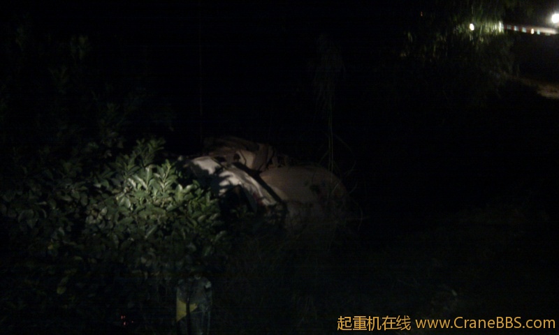 IMG_20111125_183138.jpg