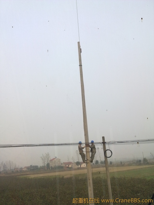 20111116956.jpg
