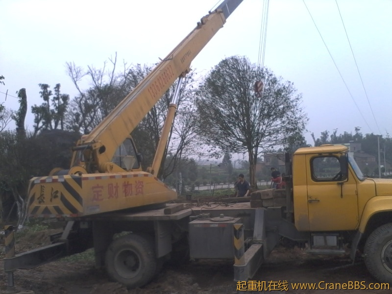 栽树3.jpg