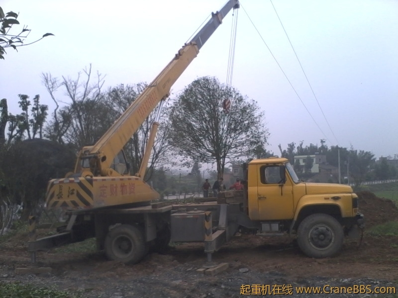 栽树4.jpg