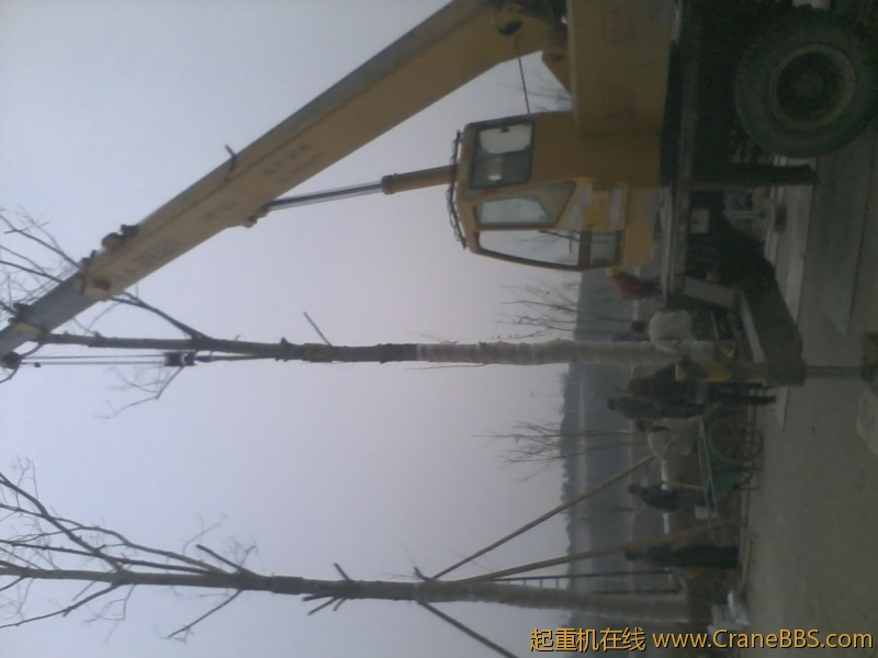 栽树5.jpg