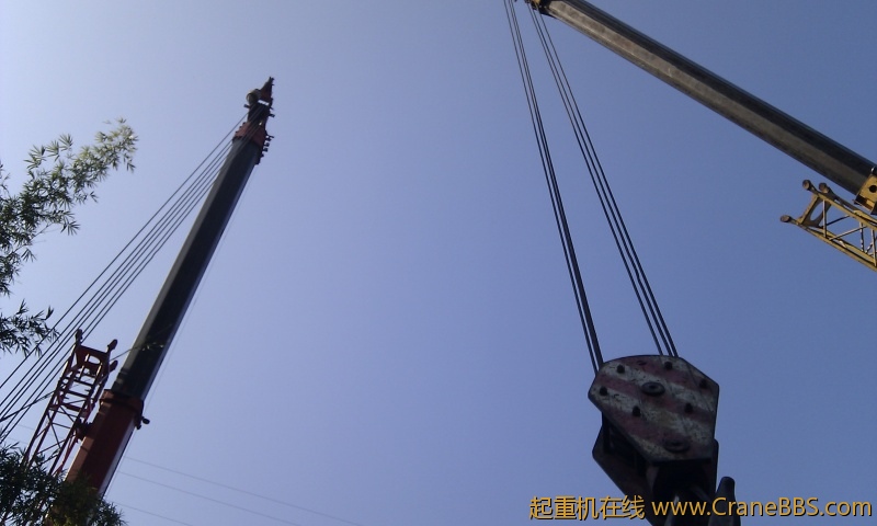 IMG_20111127_084242.jpg