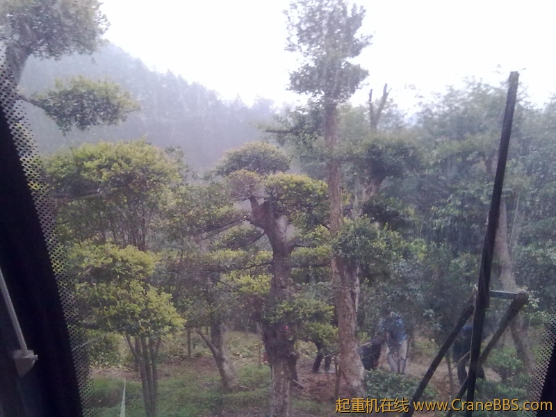 20111128081.jpg