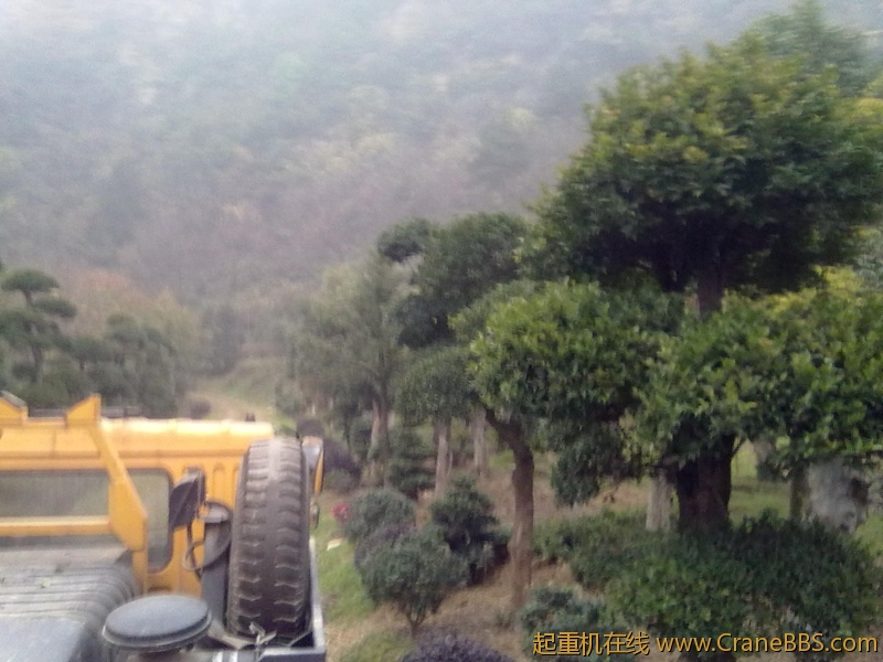 20111128084.jpg