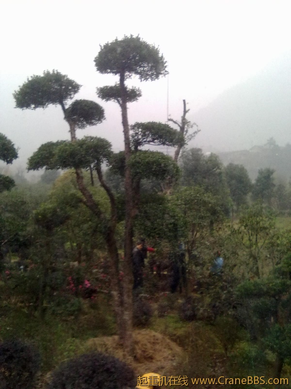 20111128085.jpg