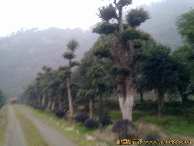 20111128075.jpg