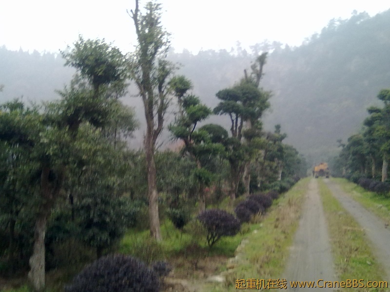 20111128076.jpg