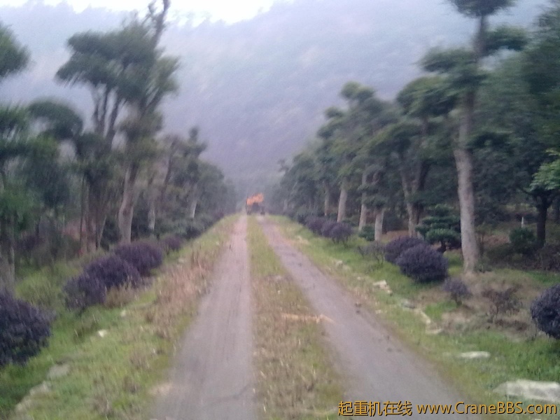 20111128077.jpg