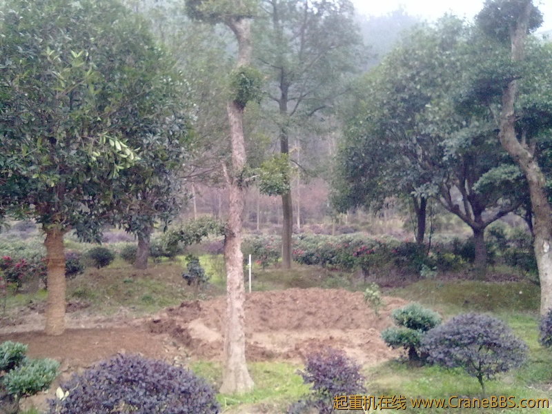 20111128078.jpg
