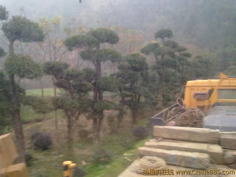 20111128086.jpg