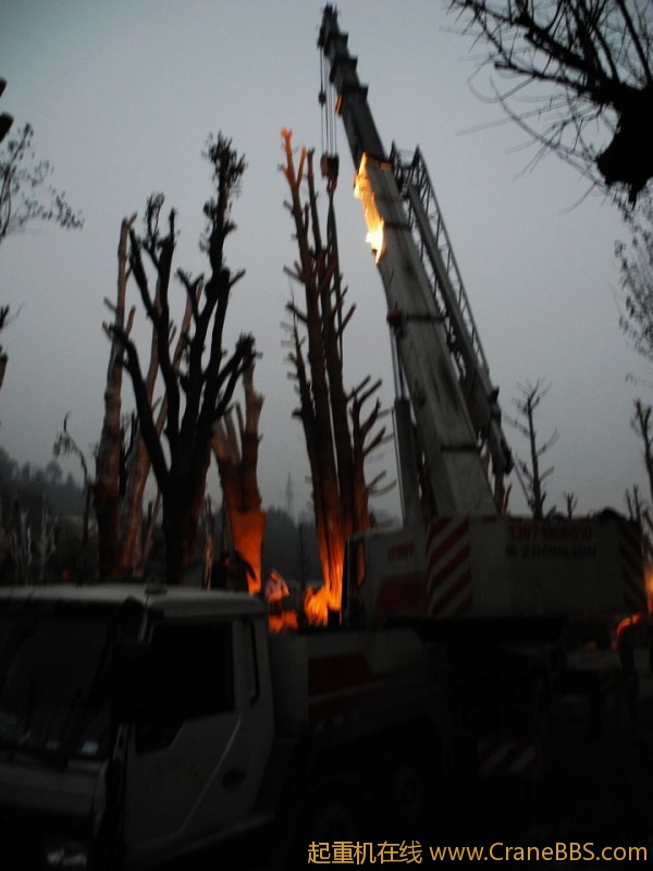 DSCN0261.jpg