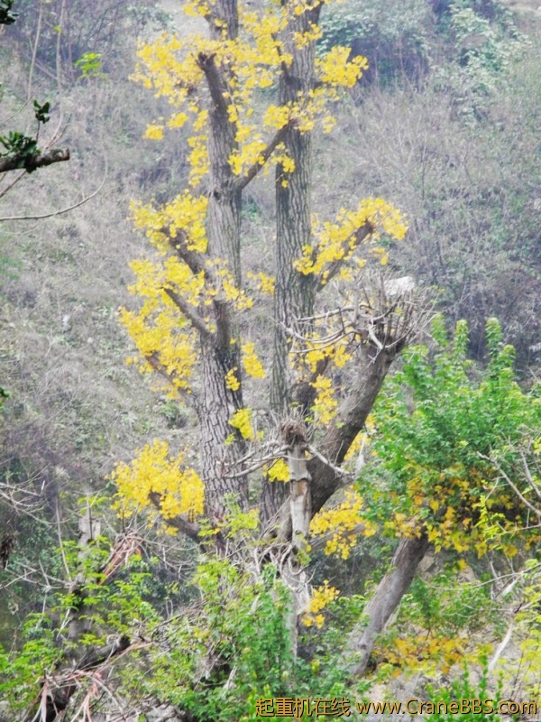 DSCN0251.jpg