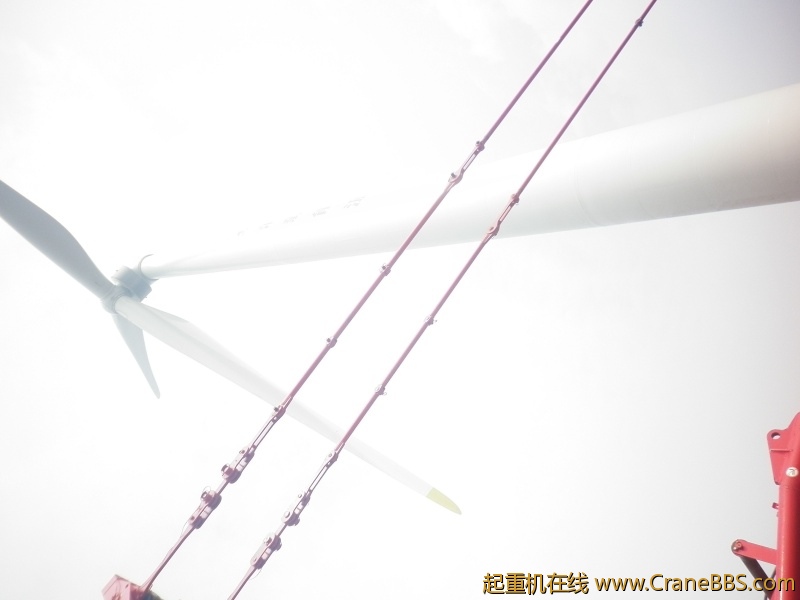 照片 166_1.jpg
