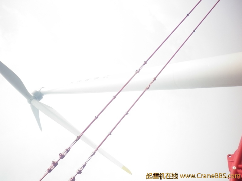 照片 167_1.jpg