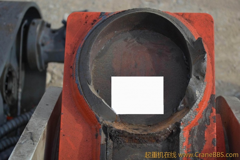 4941.jpg