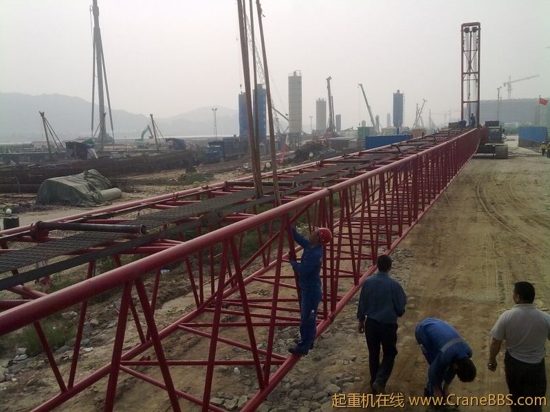 201111161197.jpg