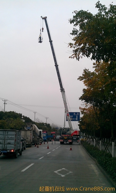 IMAG0080.jpg